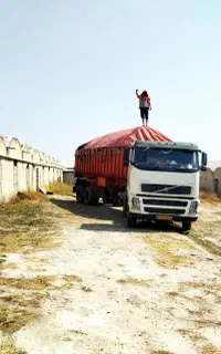 کودمرغ