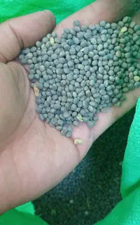 قره دنه و عدس
