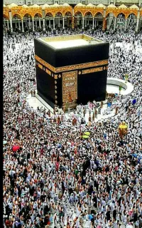 فروش فیش حج عمره ماموستا ادریس شریفی
