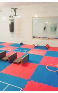 آموزش ورزش المپیکی تکواندوبانوان واقع در مهدی آباد
