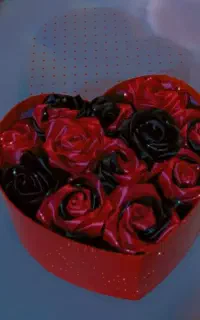 باکس جاودان