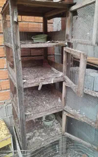 جفتکن کبوتر