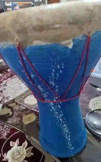 تمپو سفالی با پوست