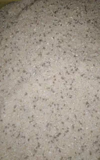 برنج نیم دانه دم سیاه، گنبد