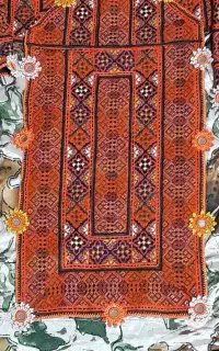 انواع کریشی