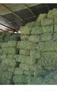 انتخاب پیمانکار تخلیه و تایه چینی
