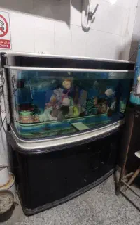 اکواریم چینی با کمد و لوازم