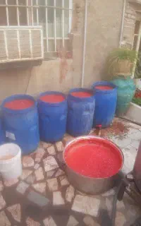 دستگاه آب گیری گوجه انگور آبگیری گوجه انگور