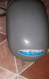 هایلا