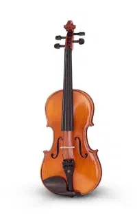 نیاز به مدرس ویلن و کمانچه