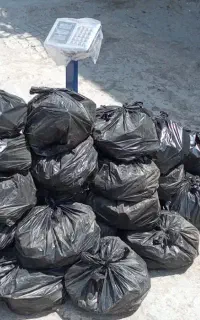 زغال کبابی چوب میوه درجه 1