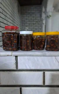 سیر ترشی