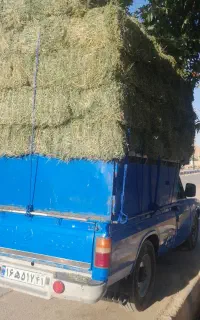 فروش یونجه درجه ۱