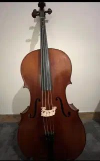ویولنسل Tf142