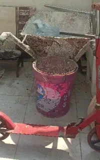 اسکوتر