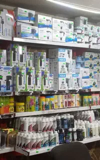 آکواریم فروشی