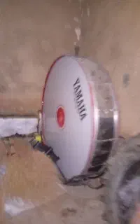 طبل سالم