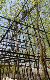 آگهی استخدام