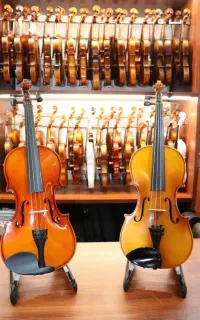 Violin Amati