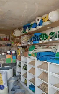 ارزن