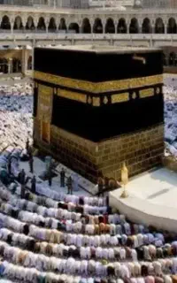 حج تمتع ۸۴ قم