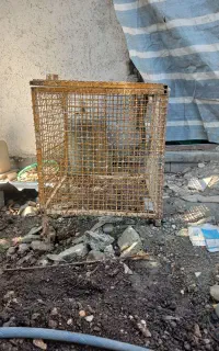 سطل زباله دست دو