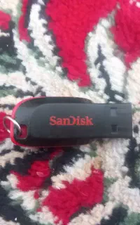 فلش