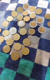 سکه