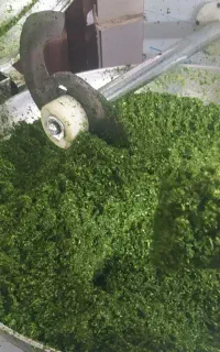 سبزی خردکنی بشقابی