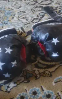 دست کش بوکس