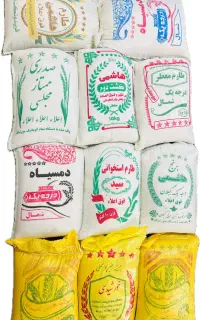 برنج هاشمی ،فریدونکنار،دم سیاه،سید استخوانی