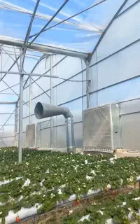 نگهبان برای گل خانه