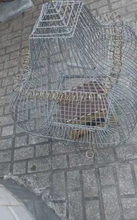 قفس پرنده