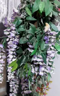 درختچه مناسب باغ
