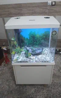 آکواریوم دلیا سایز ۵۰ با میز