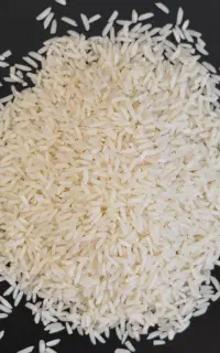 هاشمی اعلا گیلان