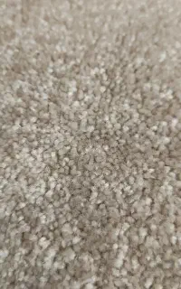 پالاز موکت پرز بلند در حد نو