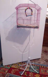 قفس پرنده