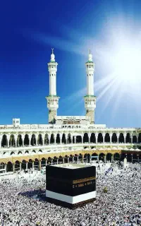 فروش فیش حج واجب ۸۶
