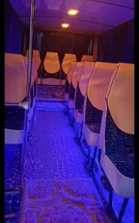 سرویس دربستی مینی بوس اویکو
