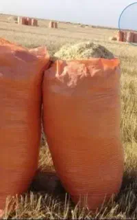 کاه گندم(کولش)