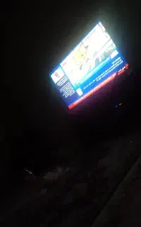 هم خانه