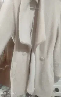 پالتو