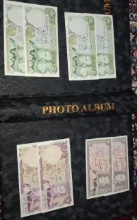 پول شاهی