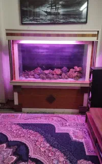 آکواریوم بزرگ به قیمت استثنایی