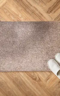 پادری