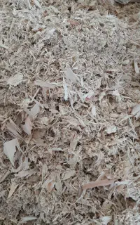 کارگر ساده نیازمندیم