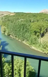 باغبانی