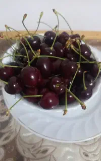 گیلاس