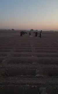 کارگرگوشه بندی وخدمات کشاورزی